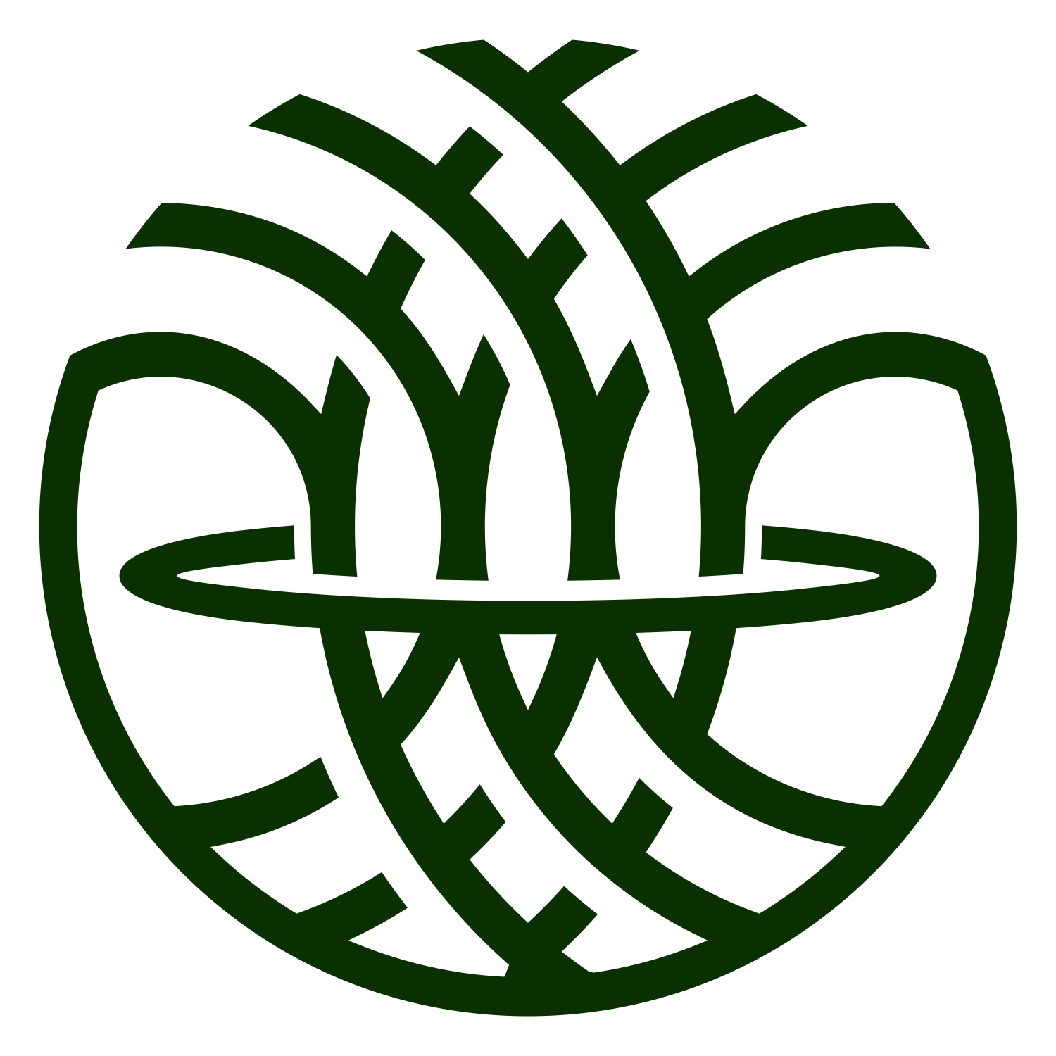Litir Logo